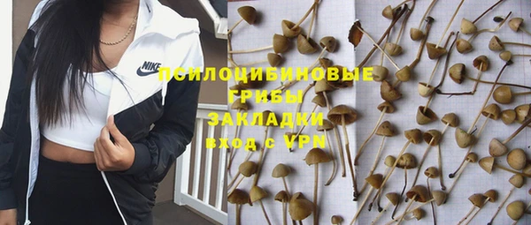 2c-b Алзамай