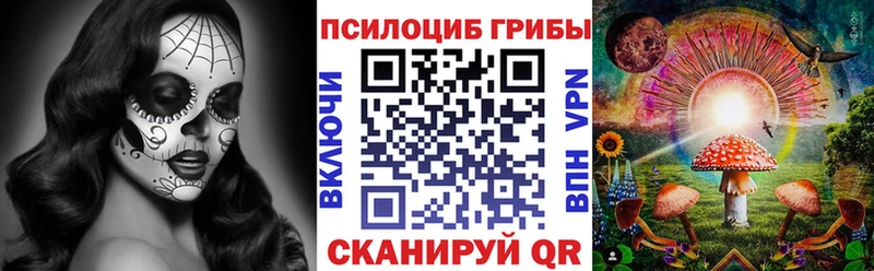 Псилоцибиновые грибы Cubensis  Купить  Буинск 